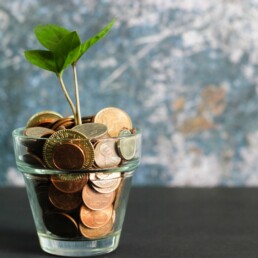 A small glass bowl holding pennies that a plant is sprouting out of.